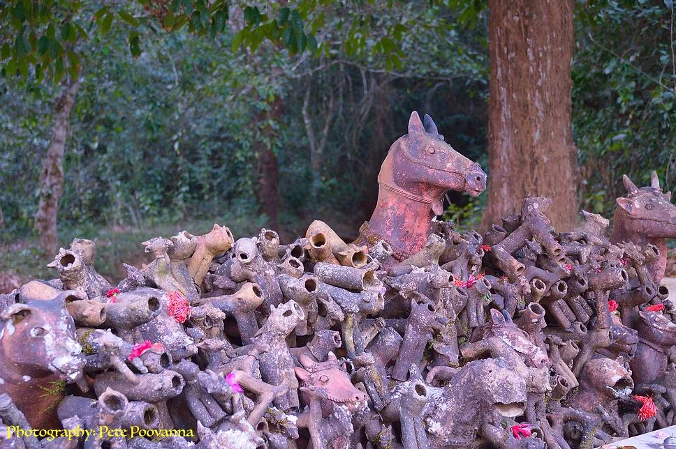 SACRED GROVES OF COORG: HOW OUR FAITH IS CONSERVING NATURE AND PRESERVING CULTURE!