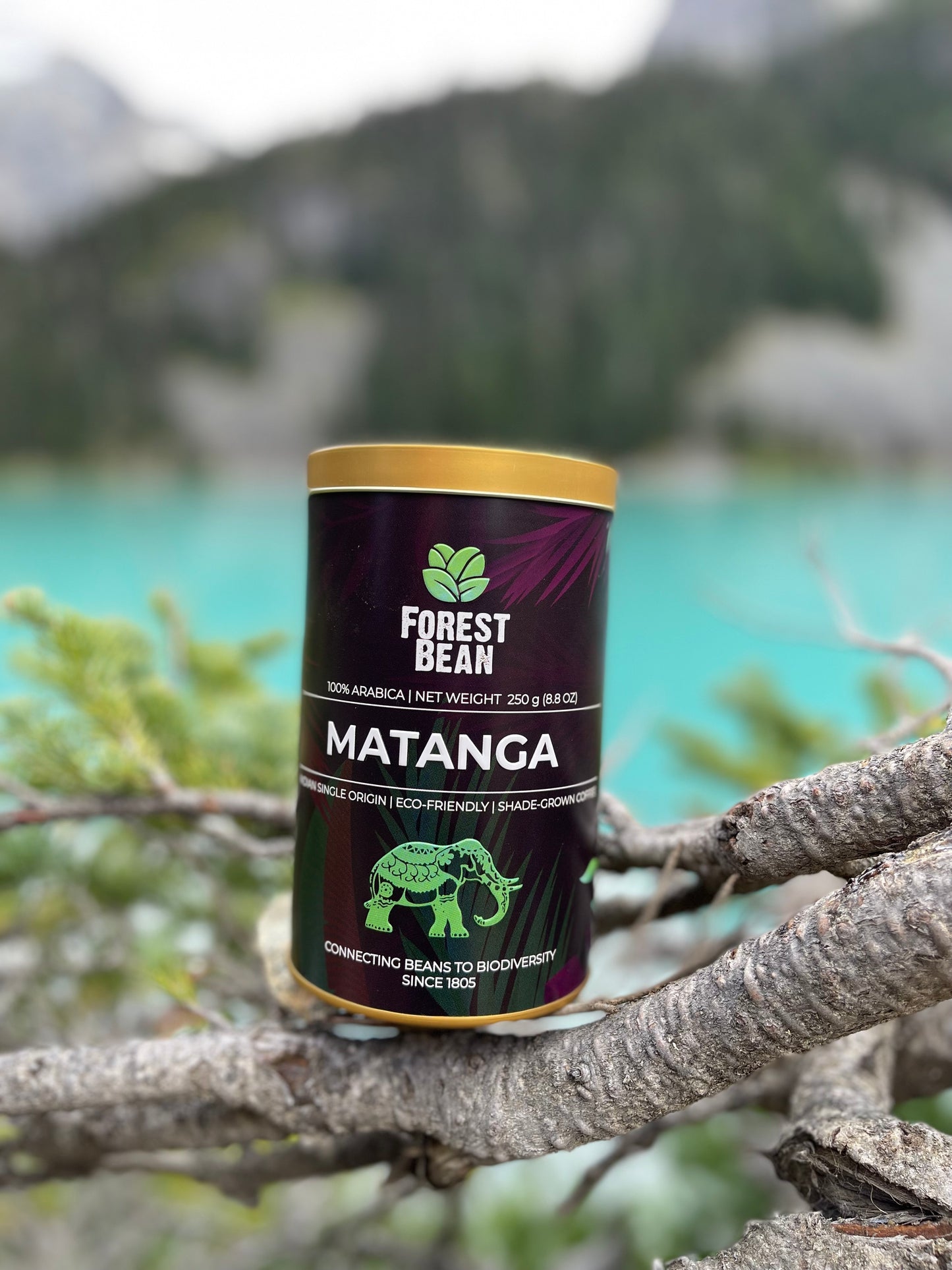 MATANGA : Italian Espresso Roast (Tin)