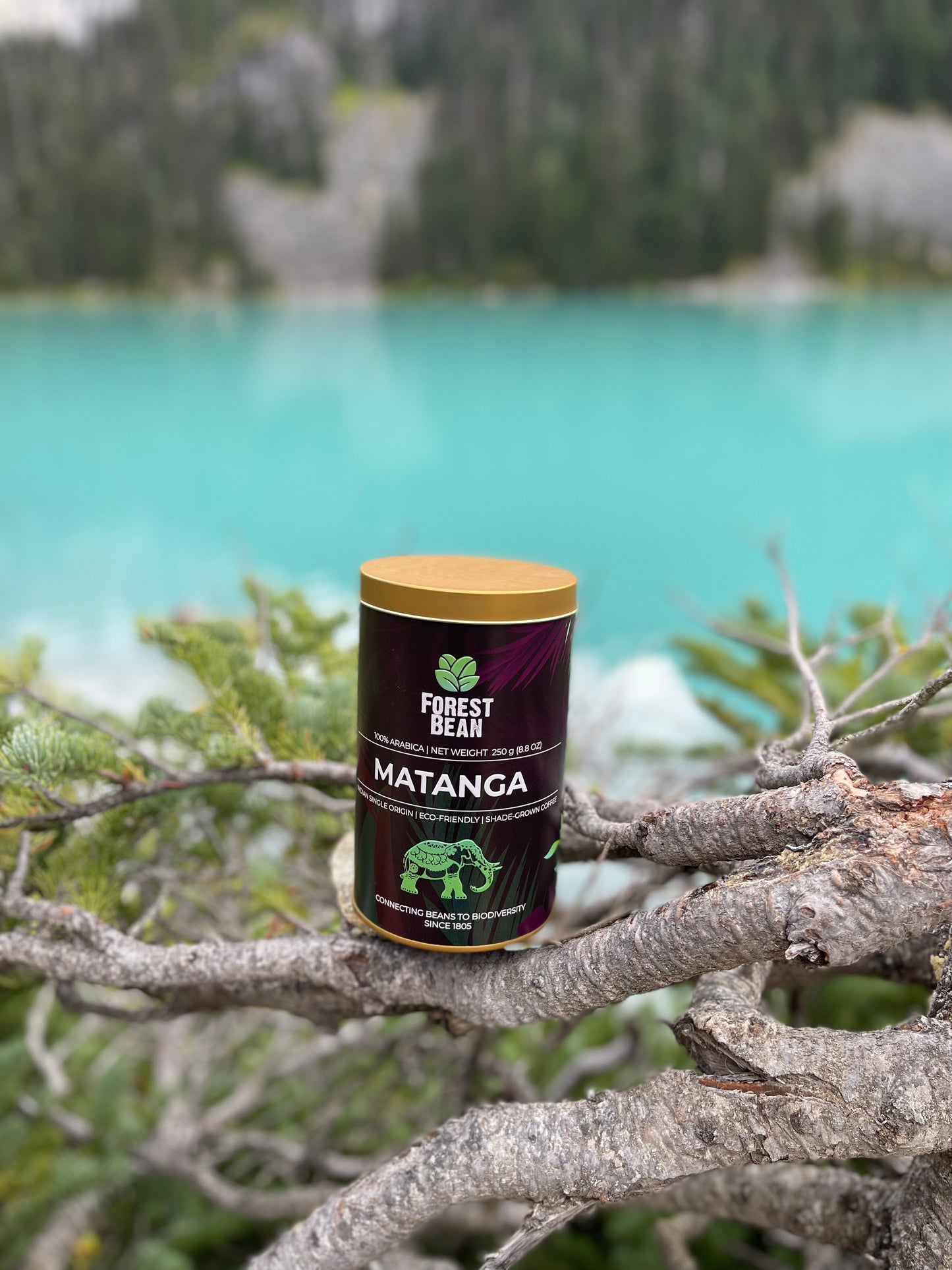 MATANGA : Italian Espresso Roast (Tin)