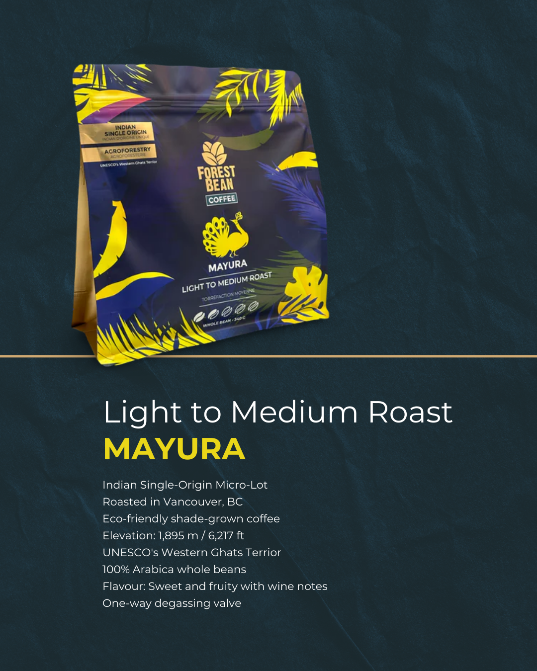 MAYURA: Light to Medium Roast - 340g
